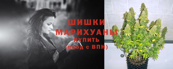 спиды Лиски